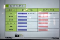 小学校と中学校のつながり